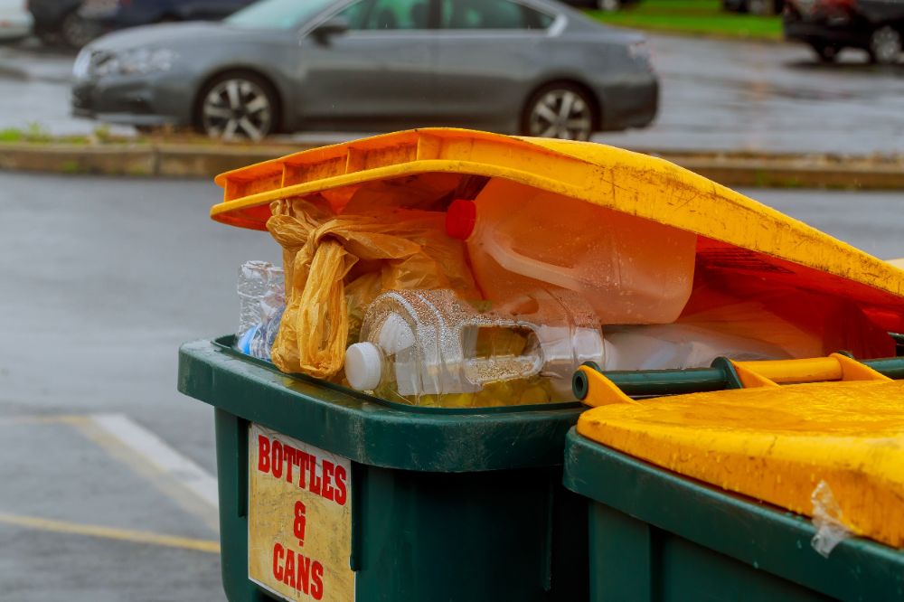 domestic skip bins