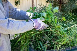 green waste skip bin